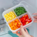 Caixa de Armazenamento de Alimentos Frigorífico, Vegetais e Frutas - GnL Web Store